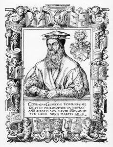 Conrad Gesner by Swiss School